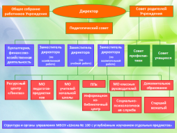 МБОУ «Школа № 100 с углублённым изучением отдельных  предметов» не имеет филиалов и структурных подразделений.

Органы управления Учреждением

Из Устава Учреждения
«Управление Учреждением осуществляется на основе сочетания принципов единоначалия и коллегиальности.
Непосредственное управление Учреждением осуществляет директор Ларионова Анна Анатольевна

Коллегиальными органами управления Учреждения являются: 

- Общее собрание работников Учреждения (п 5.4.1 Устава);

- Педагогический совет (п 5.4.2 Устава);

- Попечительский совет (п 5.4.3 Устава).

Структура, порядок формирования, срок полномочий и компетенция органов управления Учреждения, порядок принятия ими решений и выступления от имени Учреждения устанавливаются настоящим Уставом в соответствии с законодательством Российской Федерации.

В целях учета мнения учащихся,  родителей (законных представителей) несовершеннолетних учащихся по вопросам управления Учреждением, обеспечения их прав на участие в управлении Учреждением и при принятии Учреждением локальных нормативных актов, затрагивающих  права и законные интересы учащихся, по инициативе учащихся, родителей (законных представителей) несовершеннолетних учащихся создаются Совет учащихся, Совет родителей  (законных представителей) несовершеннолетних учащихся, действующие на основании Положений.
